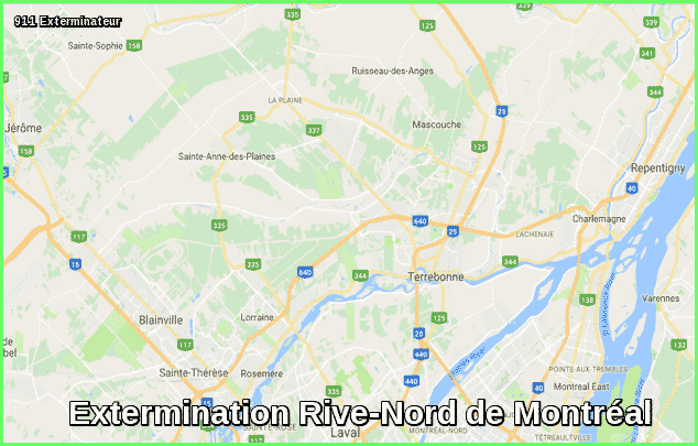 Extermination Rive-Nord de Montréal