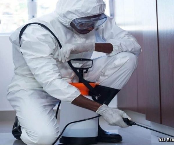 exterminateur de fourmis tarifs