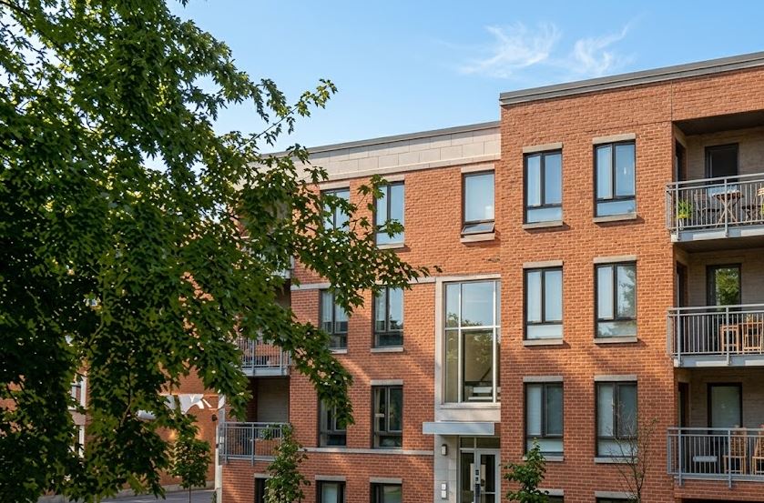 extermination logement
