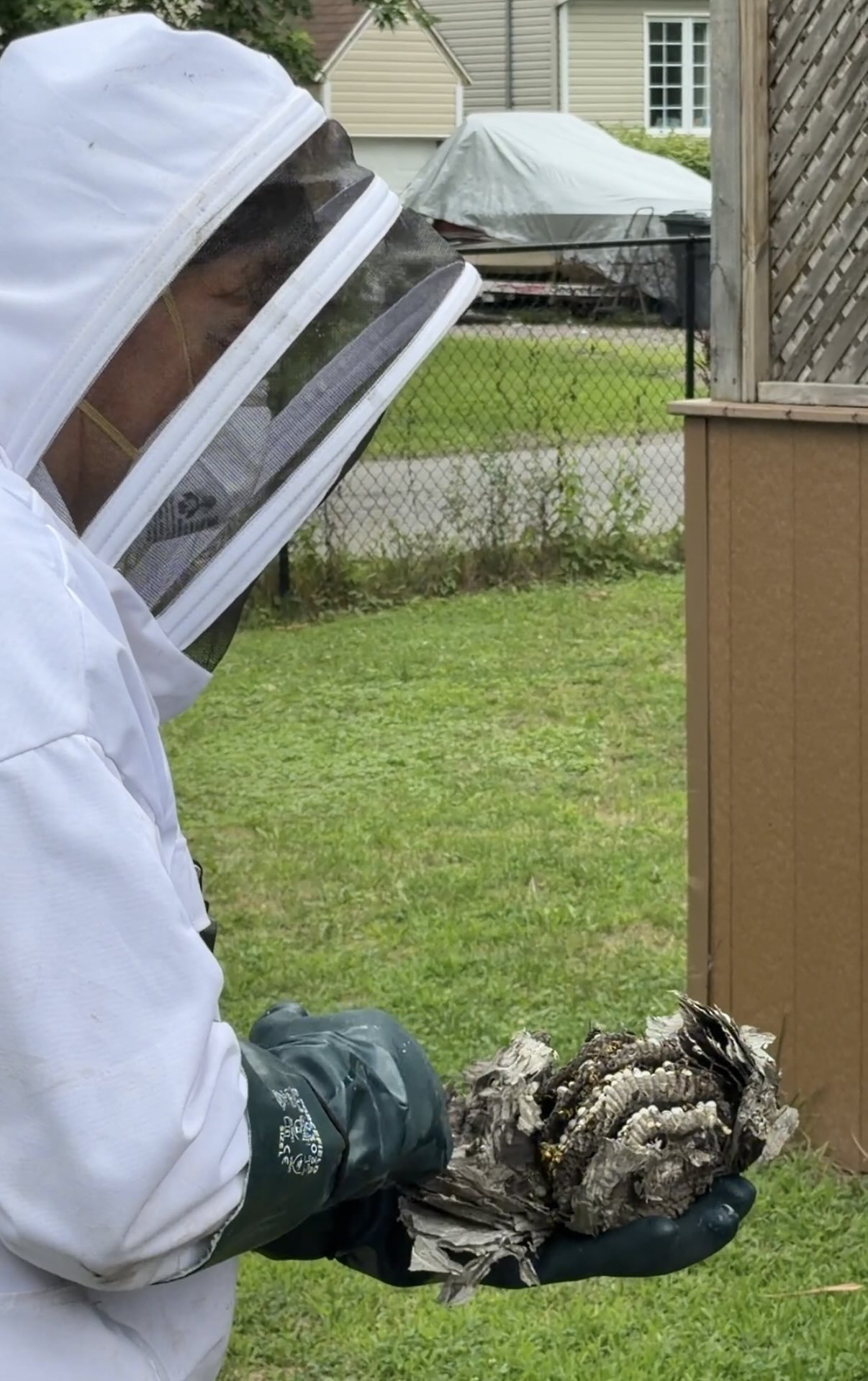 Extermination de Nids de Guêpes à Longueuil