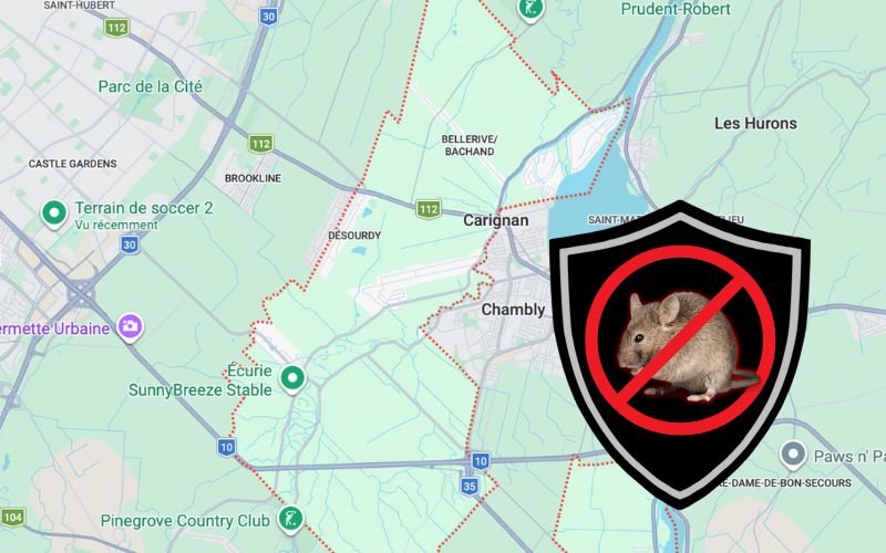 Extermination de blattes & coquerelles à Brossard